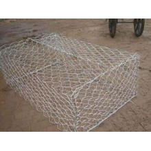 Caixa sextavada galvanizada mergulhada revestida PVC da rede de arame de Gabion